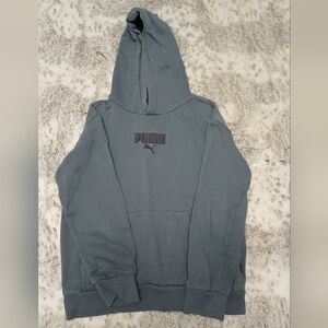 Puma Men's Blue Hoodie Sweater